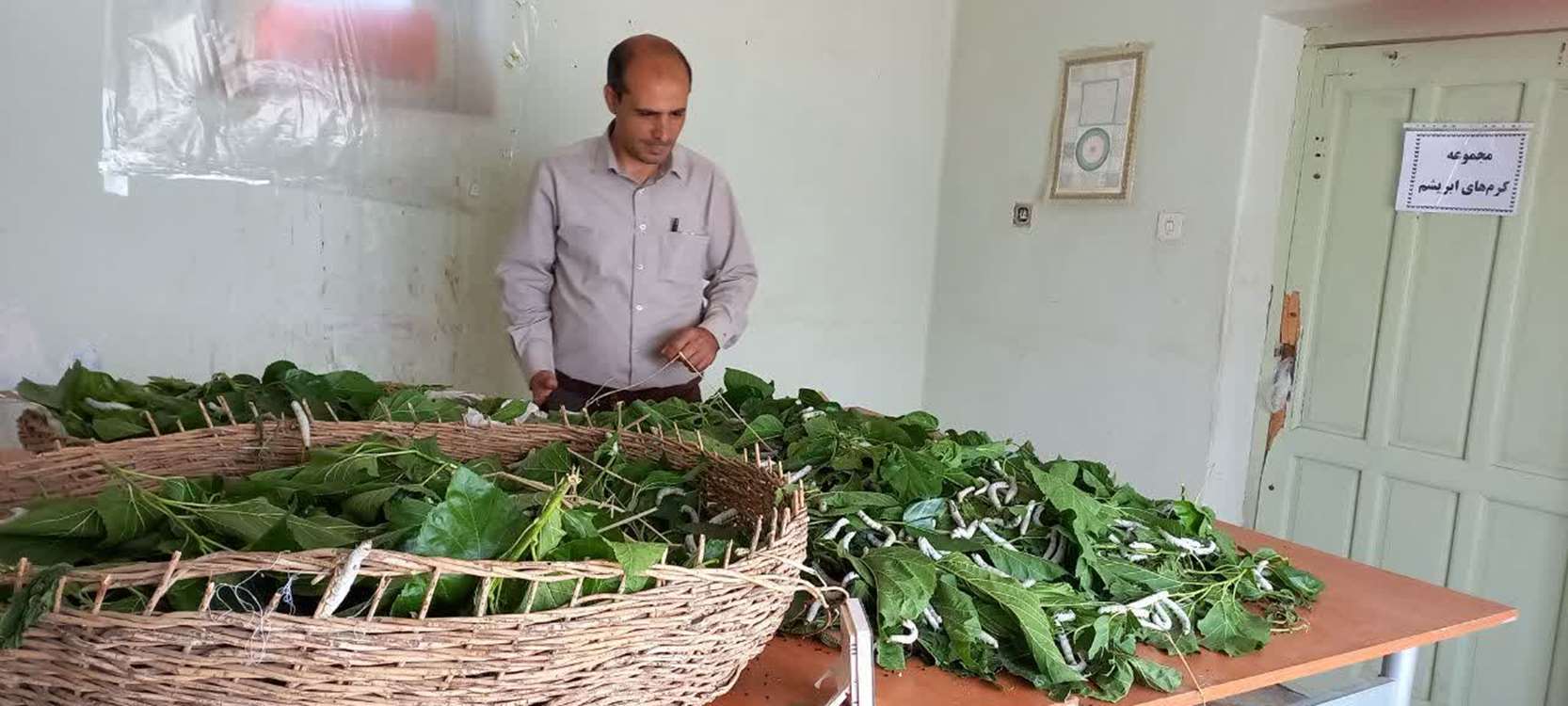 بازدید مدیر از نوغان3 